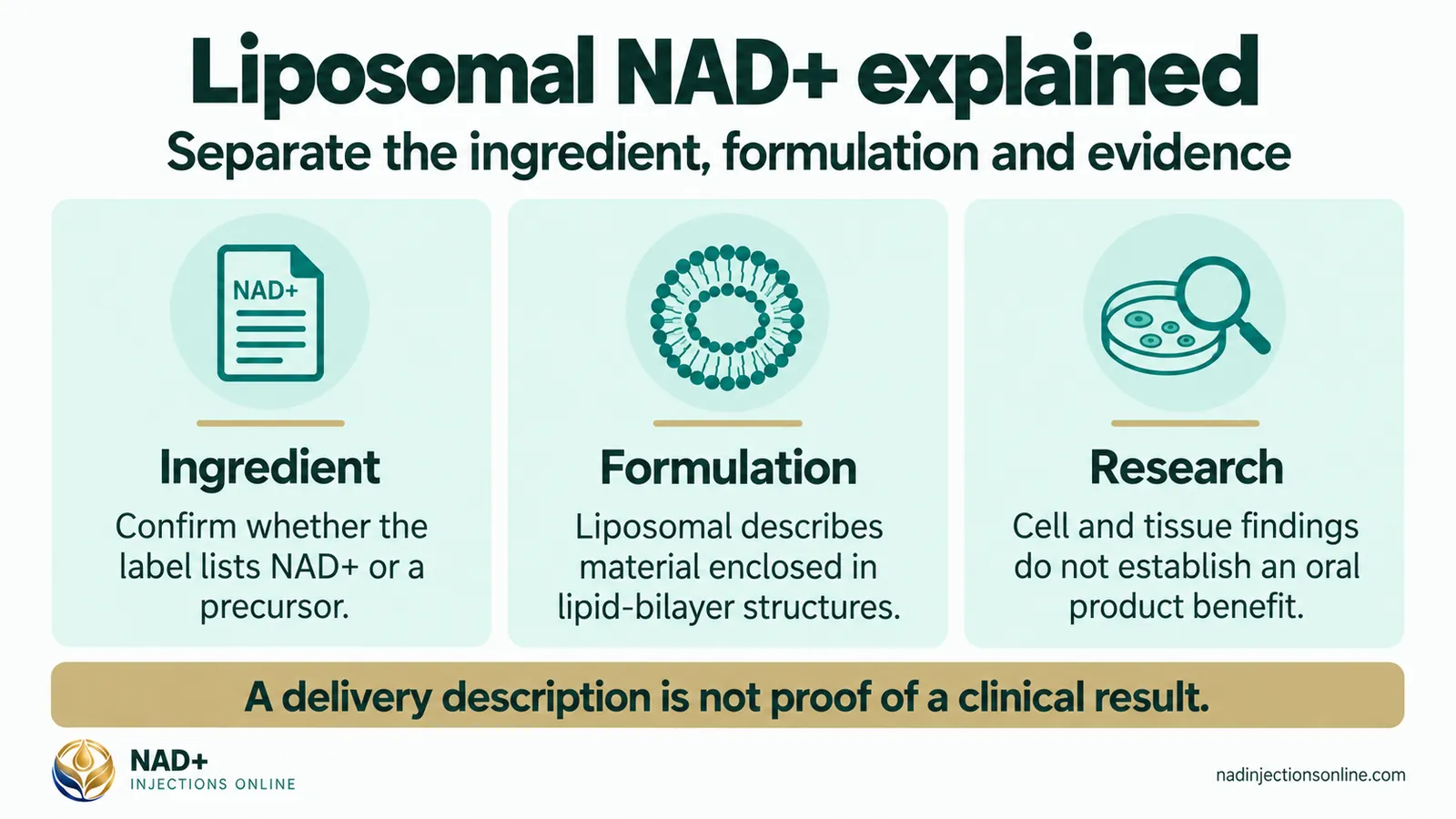 Liposomal NAD+ explained (infographic): ingredient, formulation and research.