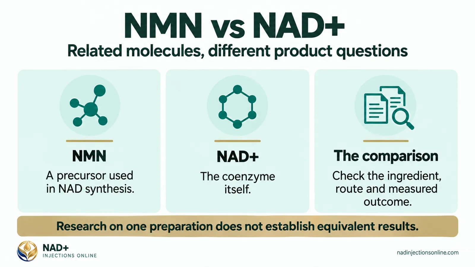 NMN vs NAD+ (infographic): NMN, NAD+ and the comparison.